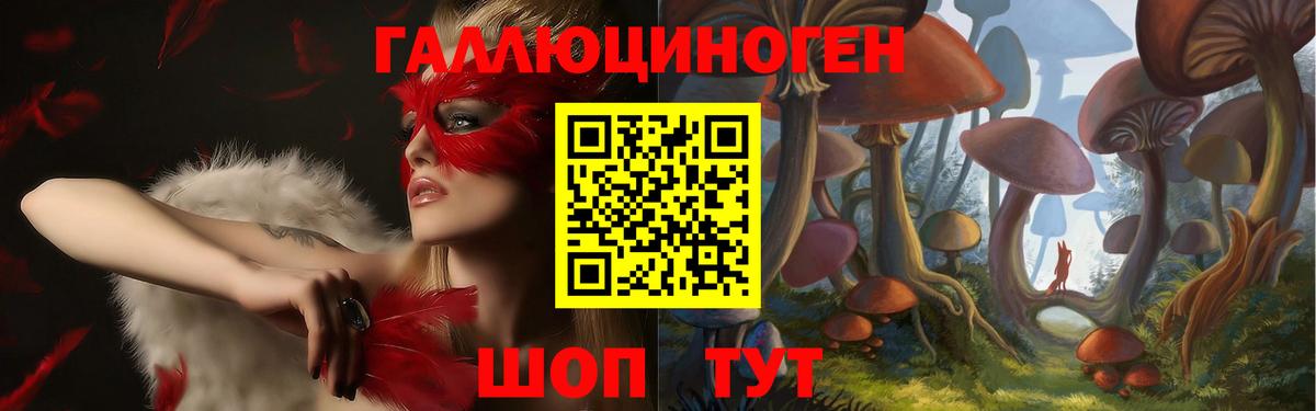Галлюциногенные грибы Magic Shrooms Карачаевск